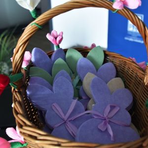 651597191 1355036376658029 n